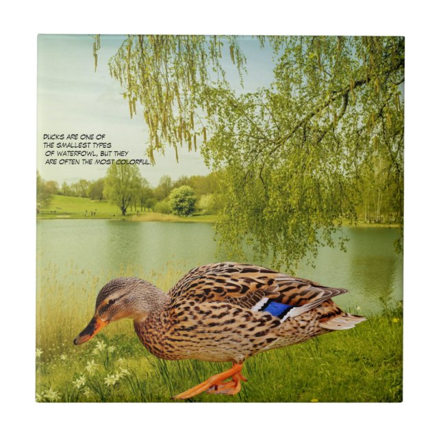 DUCK QUOTE   TILE (Front)