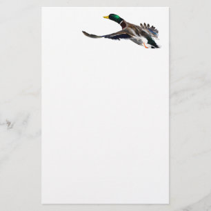 duck stationery