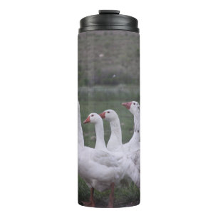 Duck Thermal Tumbler