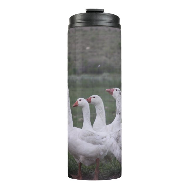 Duck Thermal Tumbler (Front)
