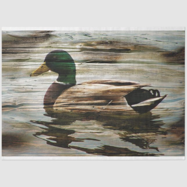 Duck Tissue Paper (Front)