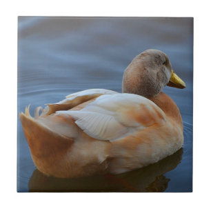 Duck Trivet