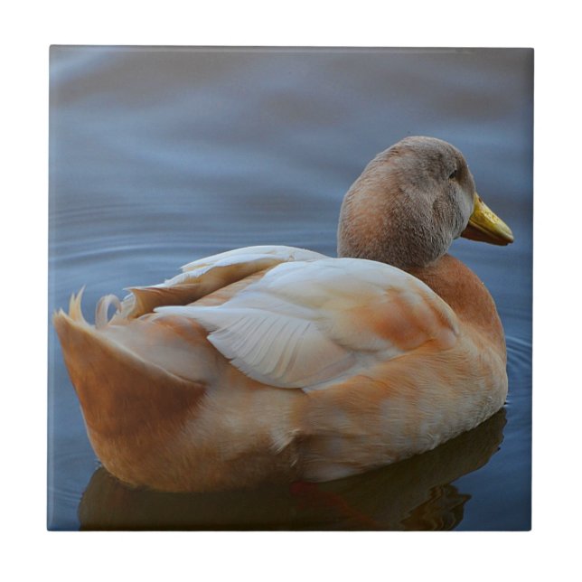 Duck Trivet (Front)