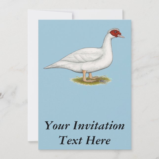 Duck White Muscovy Invitation (Front)