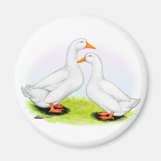 Duck:  White Pekins Magnet