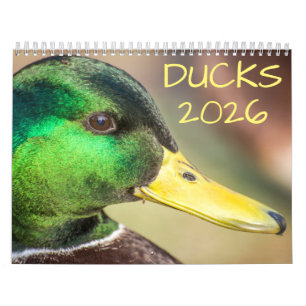Duck Wildlife Photography Calendar