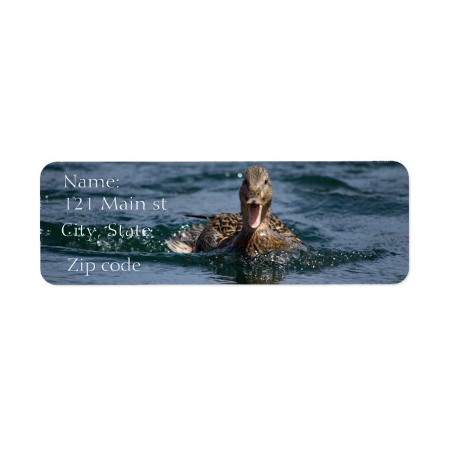 Duck with beak open (Front)