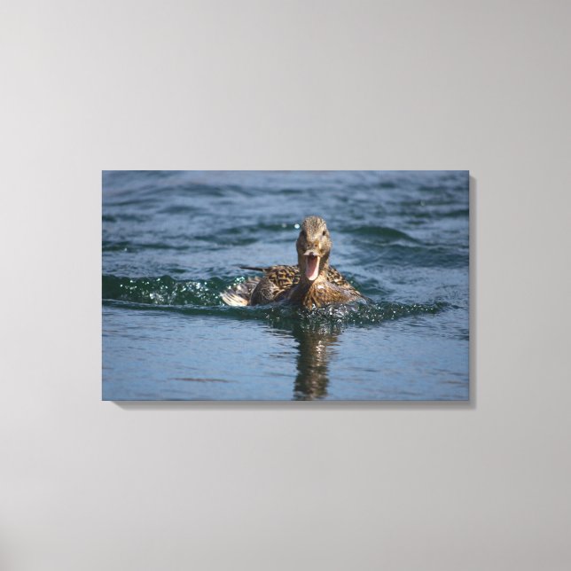 Duck with beak open canvas print (Front)