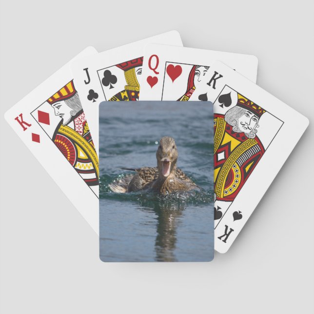 Duck with beak open                   playing cards (Back)