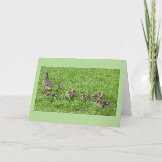 Duck with Ducklings Card (Front)