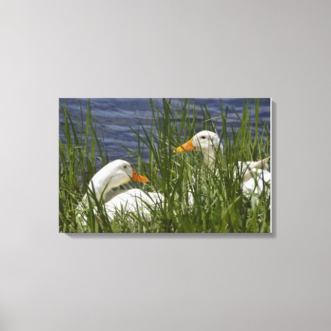 Duck Wrapped Canvas (Front)
