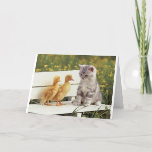 Duckheap and friend interview kitten. card