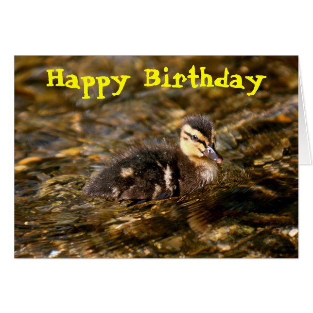 Duckling (Front Horizontal)