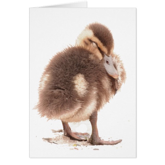 Duckling Card (Front)