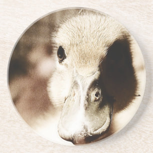 Duckling Digital Art Coaster