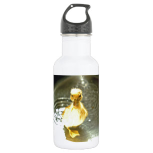 Duckling has a bath. 532 ml water bottle