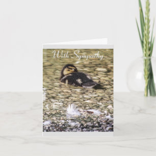Duckling in River Nature Sympathy Card