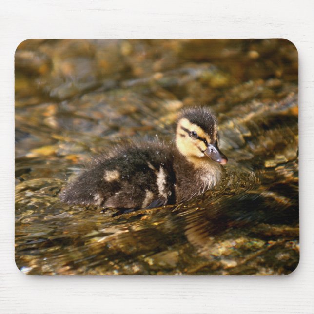Duckling Mouse Pad (Front)