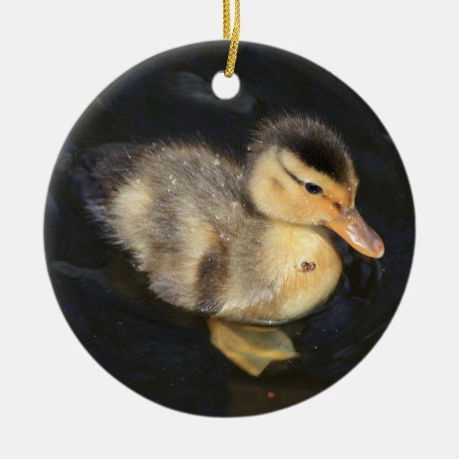 Duckling Ornament (Front)