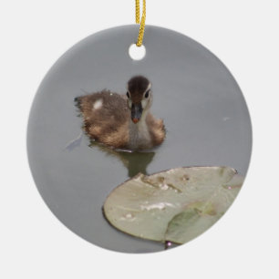 Duckling ornament