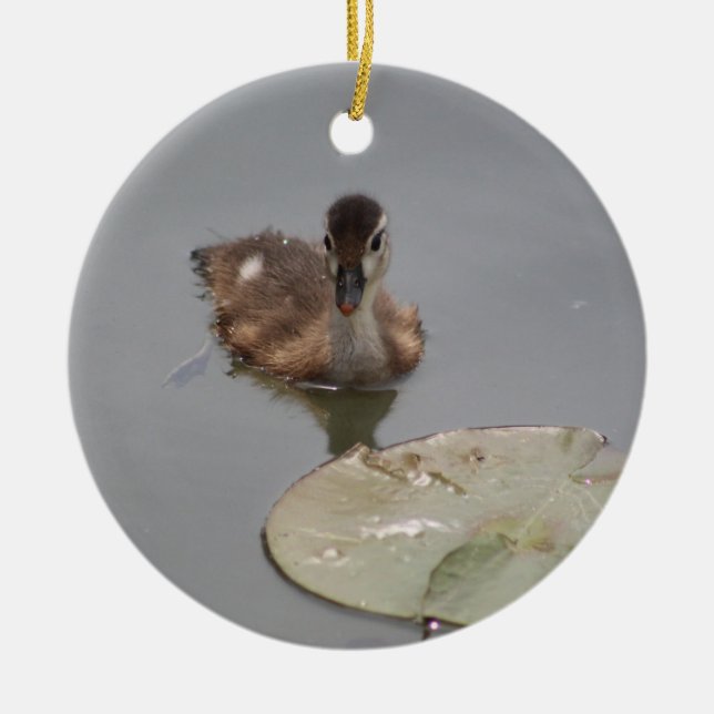Duckling ornament (Front)