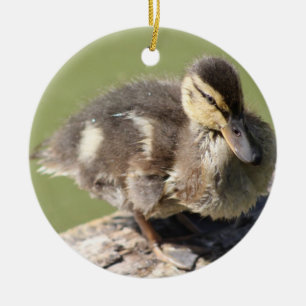 Duckling Ornament