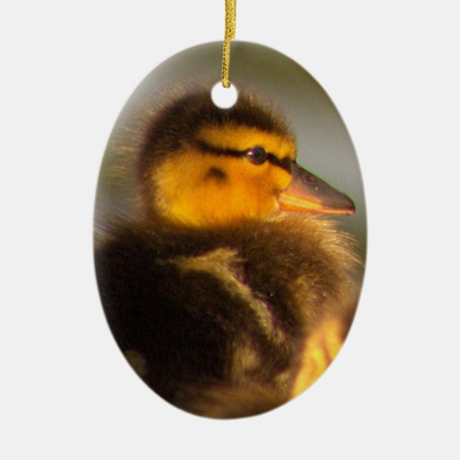 Duckling Photo Ornament  (Front)