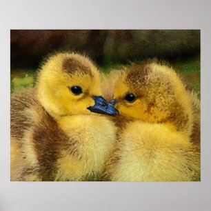 Duckling Poster