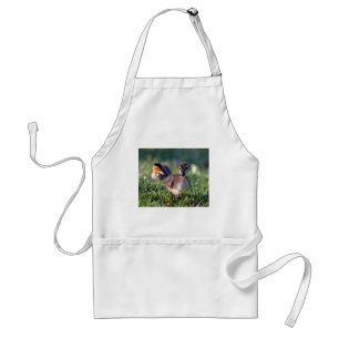 Duckling Standard Apron