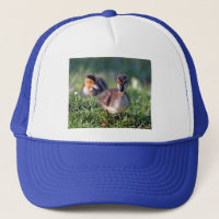 Duckling