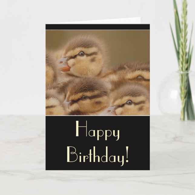 Ducklings Birthday Card (Front)