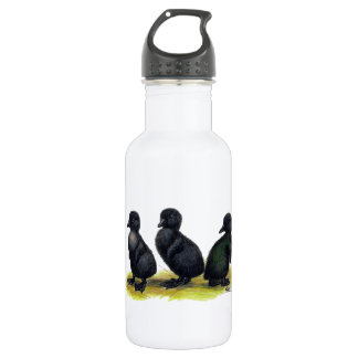 Ducklings Black Cayuga 532 Ml Water Bottle