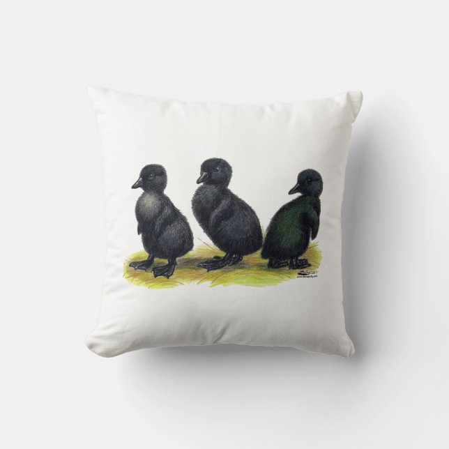 Ducklings Black Cayuga Cushion (Front)