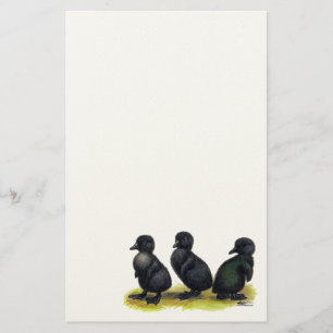 Ducklings Black Cayuga Stationery