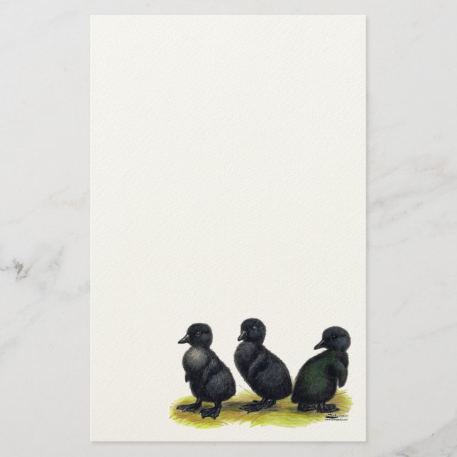 Ducklings Black Cayuga Stationery (Front)