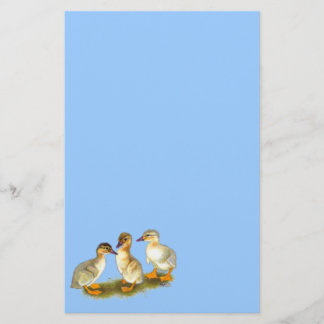 Ducklings: Buff Orpingtons Stationery