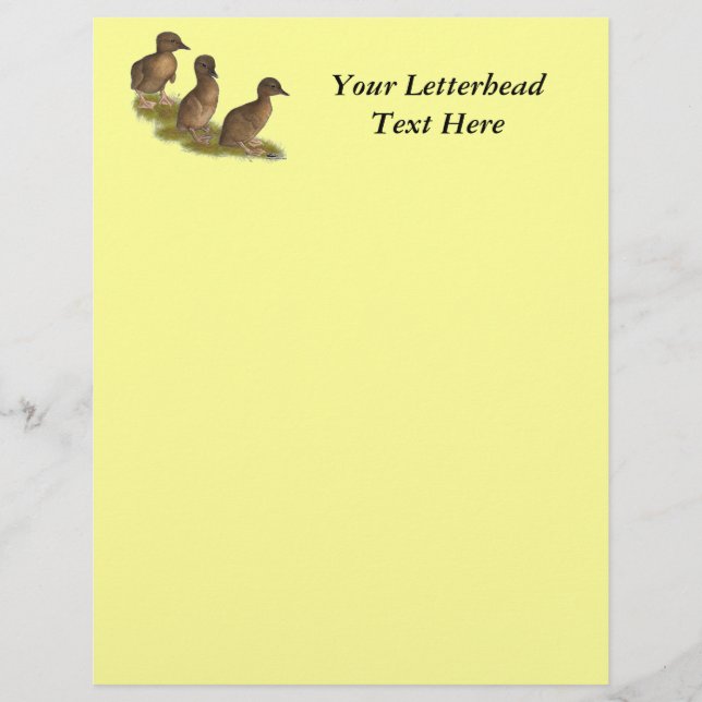 Ducklings:  Chocolate Runners (Front)