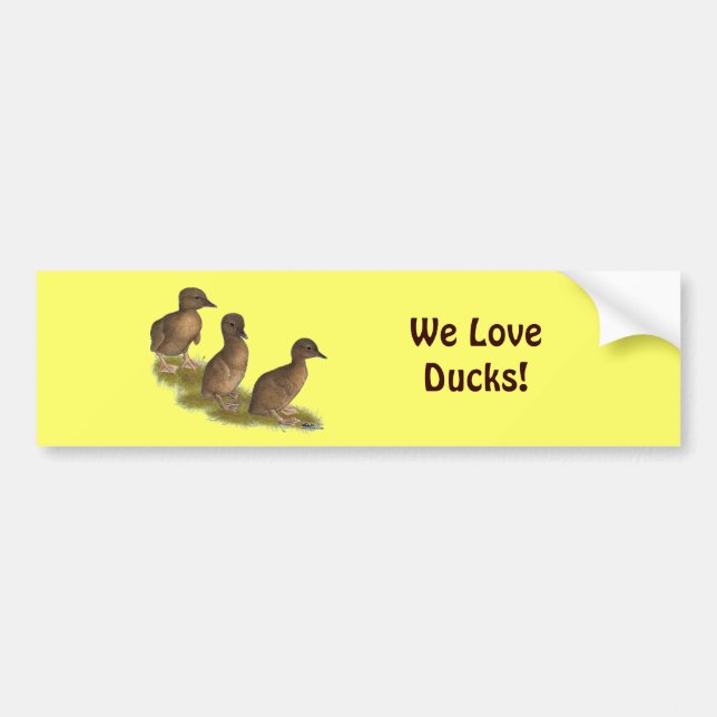 Ducklings:  Chocolate Runners Bumper Sticker (Front)