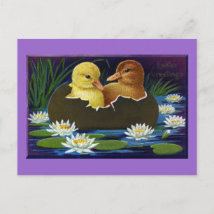 Ducklings in Eggshell Boat with Water Lilies Postcard