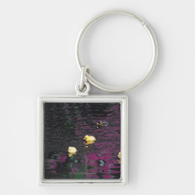 ducklings key ring (Front)