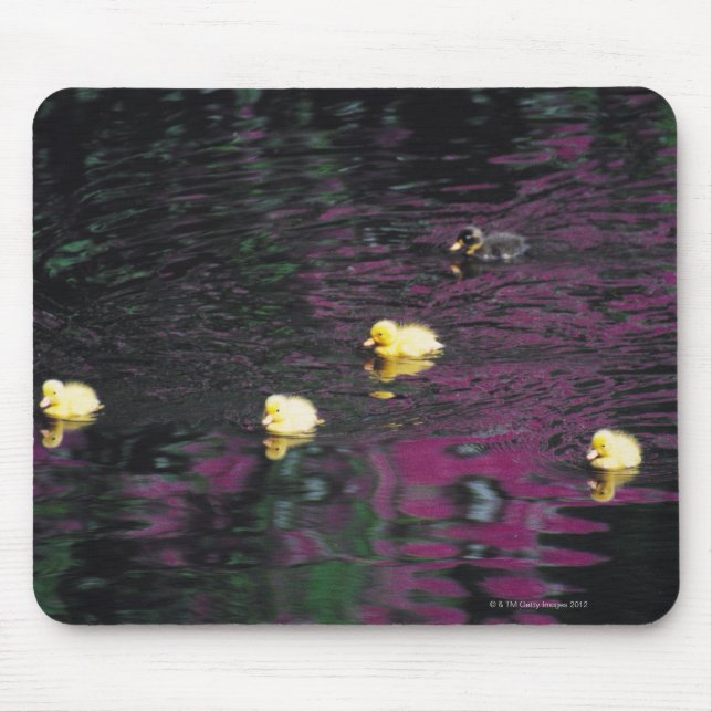 ducklings mouse pad (Front)