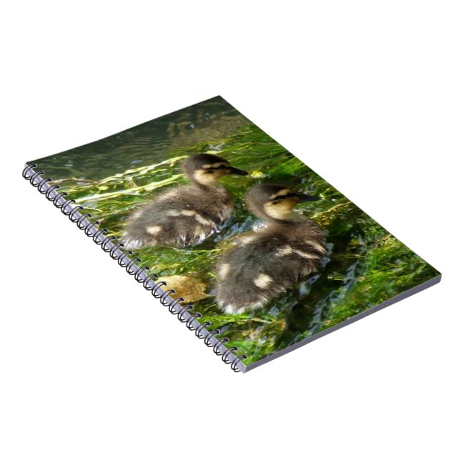 Ducklings Notebook (Right Side)