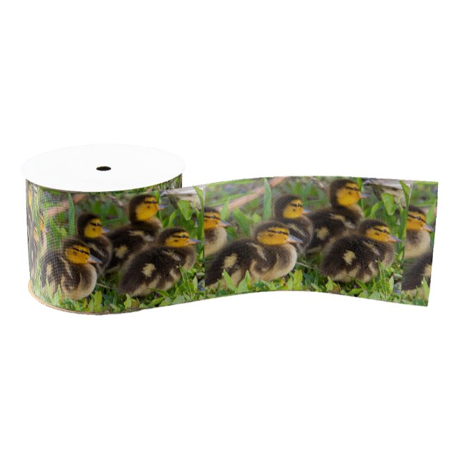 Ducklings Photo Ribbon  Grosgrain Ribbon (Creator Uploaded)