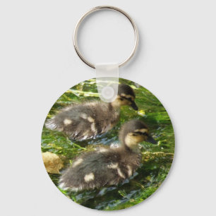 Ducklings Postcard Key Ring