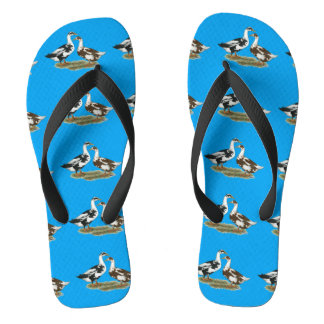 Ducks Ancona Pair Jandals