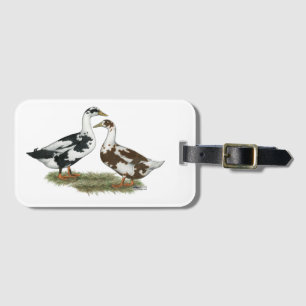 Ducks Ancona Pair Luggage Tag