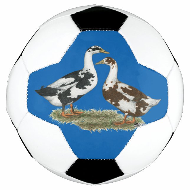 Ducks Ancona  Pair Soccer Ball (Front)