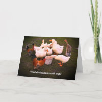 Ducks and Chickens Eating Funny Birthday