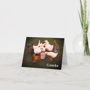Ducks and Chickens Eating Funny  Thank You Card