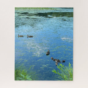 Ducks and Ducklings in Water Challenging Jigsaw Puzzle